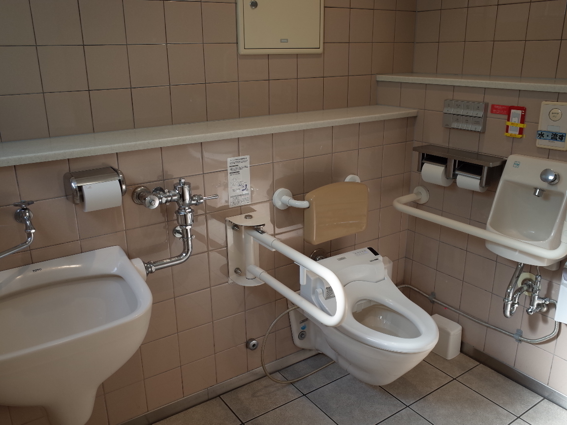 洗足池図書館 車イスで行けるトイレ情報サイト Yorisou ヨリソウ 利用者の方へ安心と優しさを届ける本物の情報を 洗足池図書館 車イスで行けるトイレ情報サイト Yorisou ヨリソウ 利用者の方へ安心と優しさを届ける本物の情報を